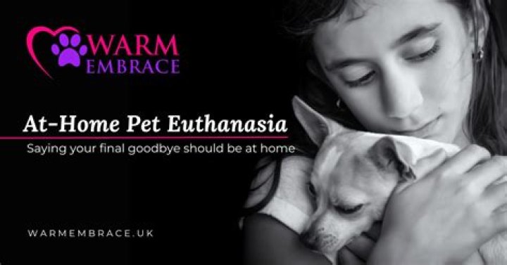 Humane Pet Euthanasia at Home in New Hampshire