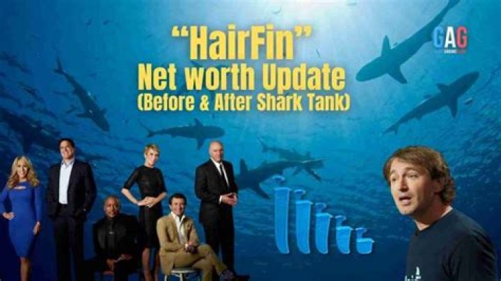 Key Insights into Hairfin Shark Tank Net Worth
