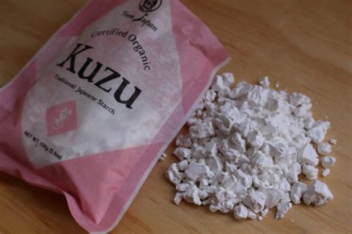 Kuzu_v0: Understanding the Revolutionary AI Model