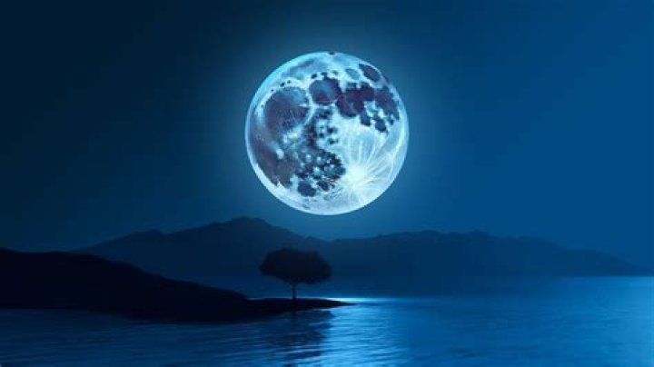 Lia Bluemoon: A Rising Star in the Digital Realm