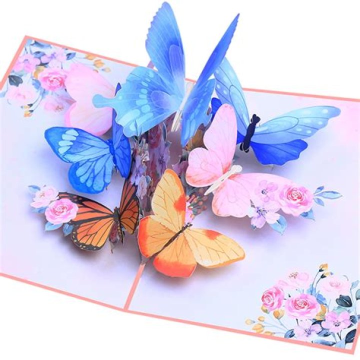 Lovepop Net Worth: Insights into the Financial Landscape of Innovative 3D Greeting Cards