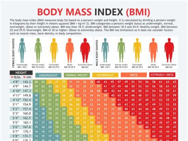 Melissa O'Neil: Height, Weight & Body Stats - The Complete Guide