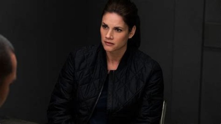 Missy Peregrym: A Rising Star in the Entertainment World