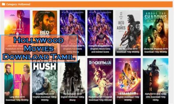 MKVMoviesPoint Hollywood Movies Download in Hindi: Your Ultimate Guide to Streaming Bliss