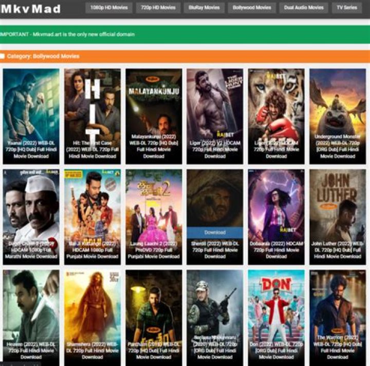 MKVMoviesPoint in Quality and All Sizes Free Dual Audio 300MB