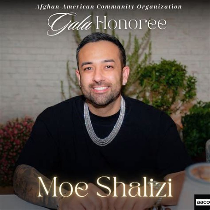 Moe Shalizi Net Worth: A Deep Dive into the Life and Finances of a Music Industry Mogul