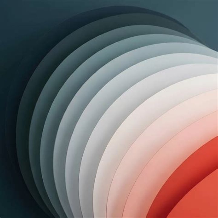 Molly Maracas: A Journey Through Rhythm and Color