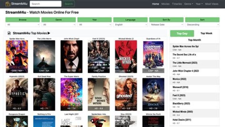 Movie4u: Your Ultimate Streaming Destination Unveiled