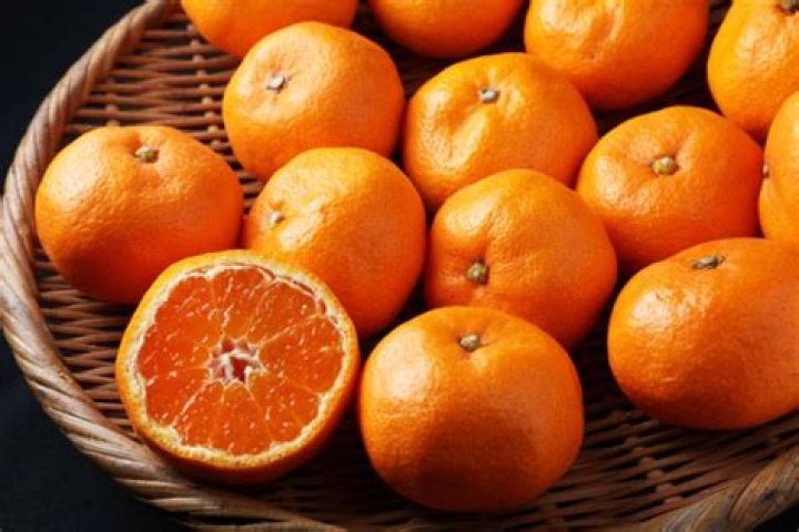 Oshima Orange: The Sweet Delight of Japan's Citrus Fruits