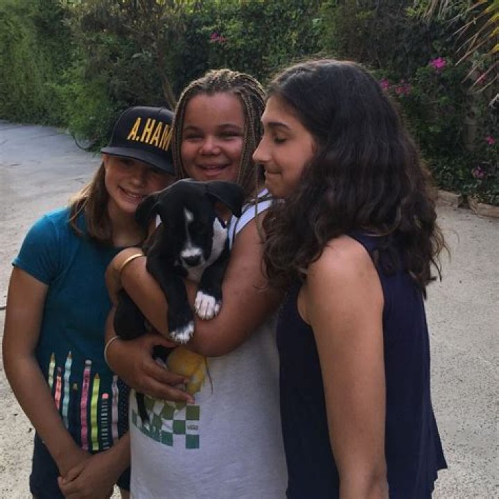 Piper Gooding: Age, Family, Instagram & More - All You Need to Know!
