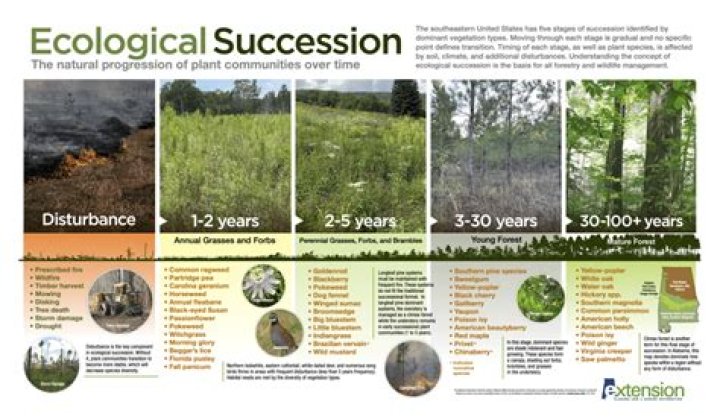 Regenerating the Ecology of Place: A Comprehensive Guide to PDF Download