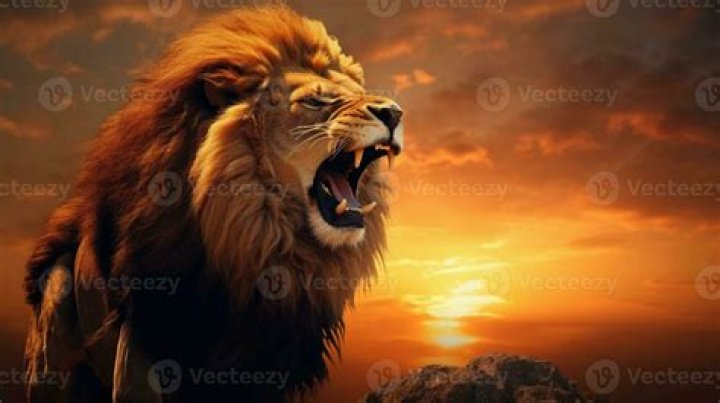 Roaring into Action: The Spirit of 