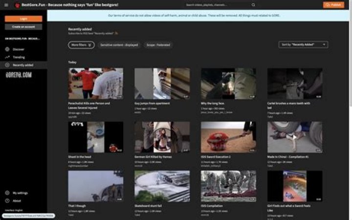 Sites Like Bestgore: Your Ultimate Guide to Exploring Dark Content Safely