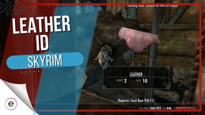 Skyrim Leather ID: A Comprehensive Guide for Every Enthusiastic Player