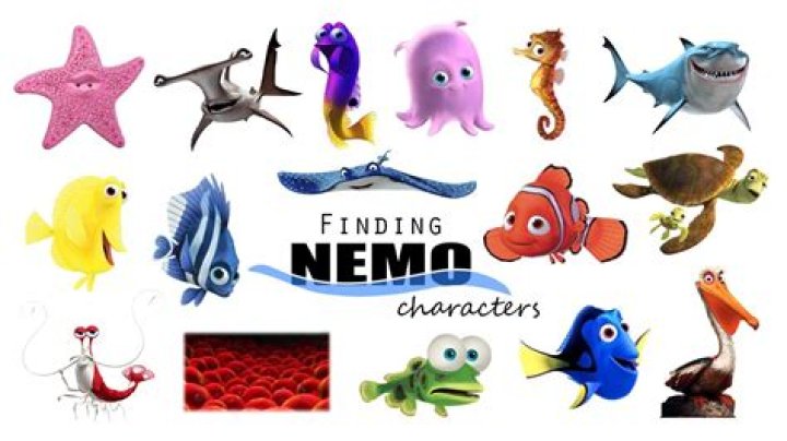 Squid from Finding Nemo: The Hidden Star of the Ocean