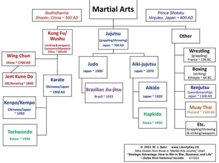 Steven Seagal: The Multifaceted Career of a Martial Arts Legend