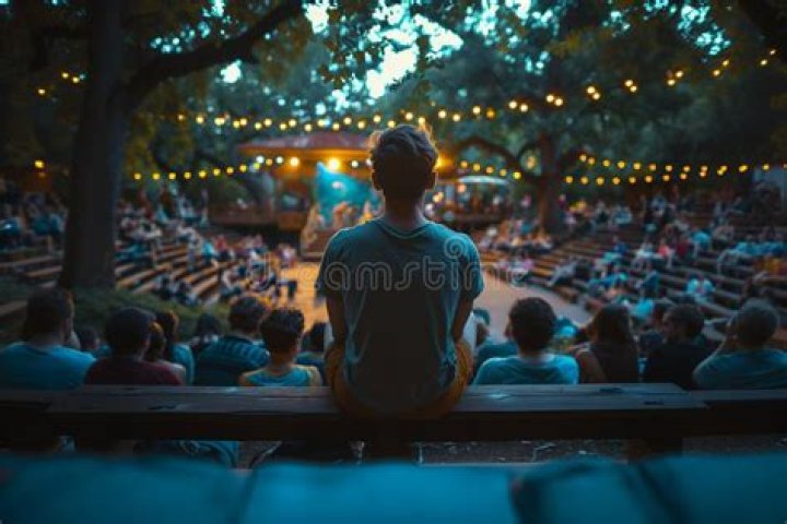 Summer Vibes: Enjoying a Concert by the Park