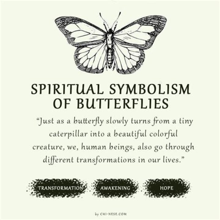 **The Art of Stinging Like a Butterfly: A Journey of Grace and Strength**