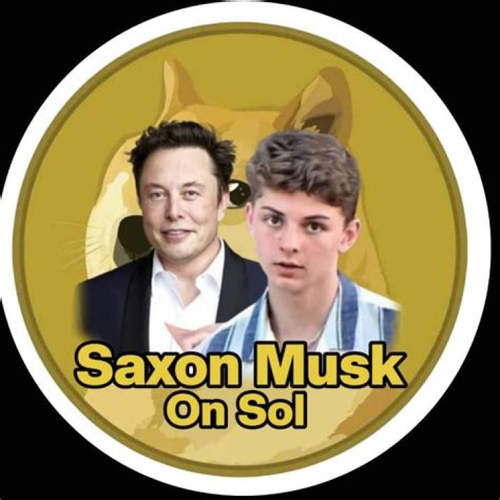 The Comprehensive Guide to Extraordinary Saxon Musk