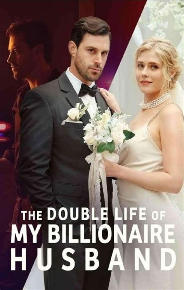 The Double Life of My Billionaire Husband: A Story Beyond Wealth