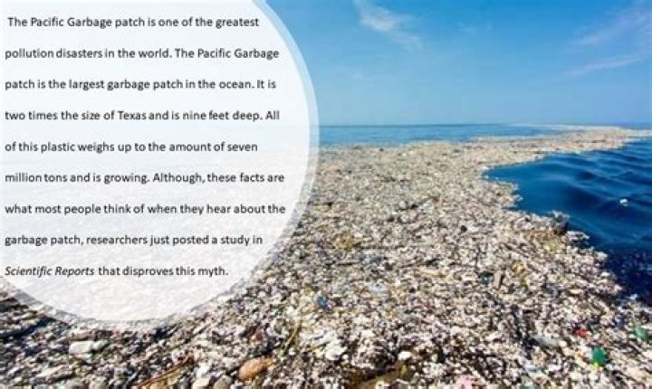 The Great Pacific Garbage Patch: Understanding the Ocean's Plastic Crisis