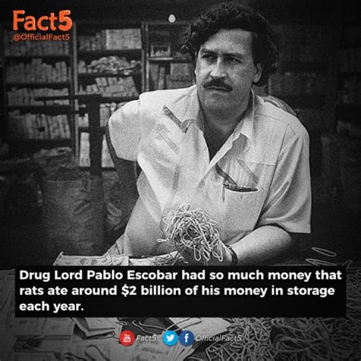The Staggering Daily Earnings of Pablo Escobar: How Much Did He Make?