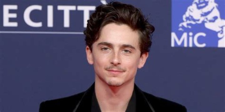 Timothy Chalamet: Career, Movies, and More!