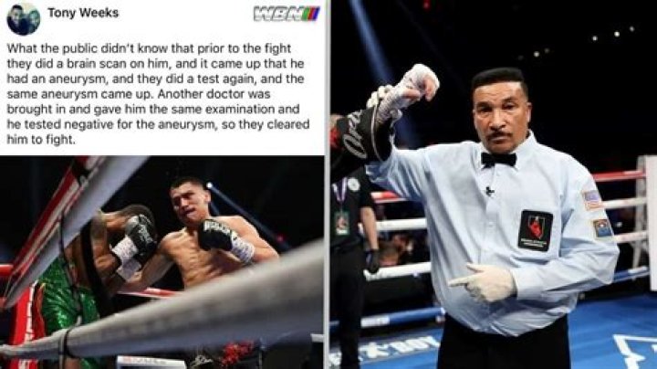 Tony Weeks Net Worth: A Deep Dive into the Life and Wealth of a Legendary Boxing Referee
