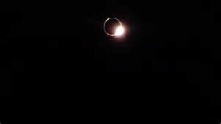 Turtle Pop: The Name Behind the Elen Ring Phenomenon