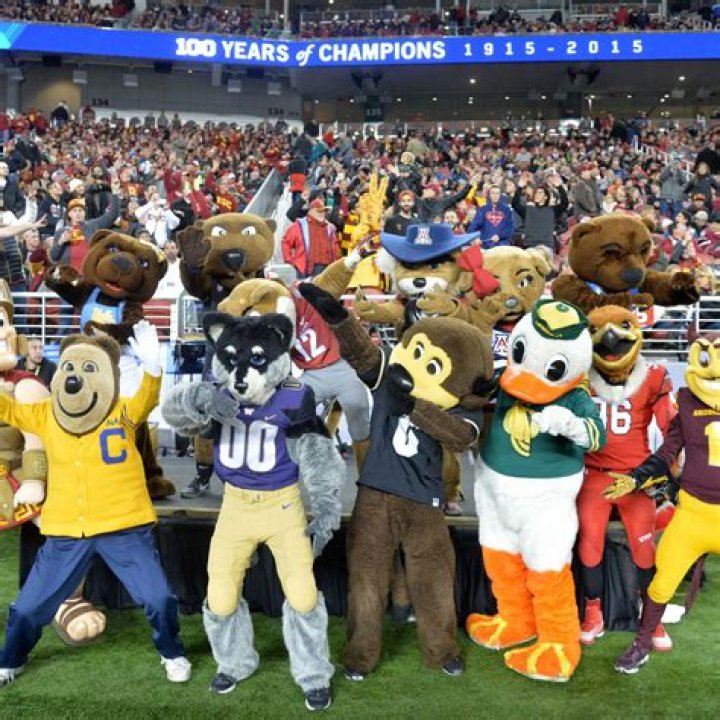 Uga vs: The Ultimate Showdown of College Football Mascots