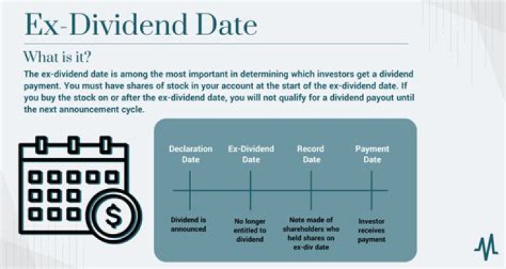 Ultimate Guide to DX Corporation's Dividend Payment Date