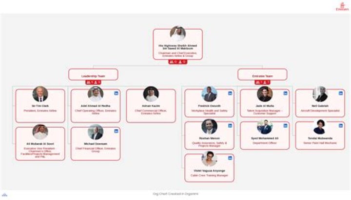 Uncover the Secrets: Presidential Campaign Organizational Structure