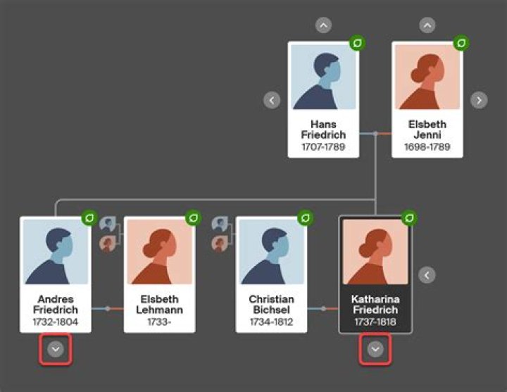 Uncovering Madonna's Ancestry: A Detailed Look at Her Ethnic Background