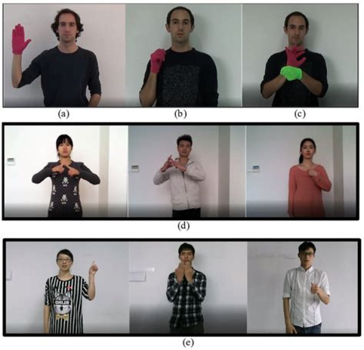 Uncovering the Truth: Is Sign Language an Action or a Language?