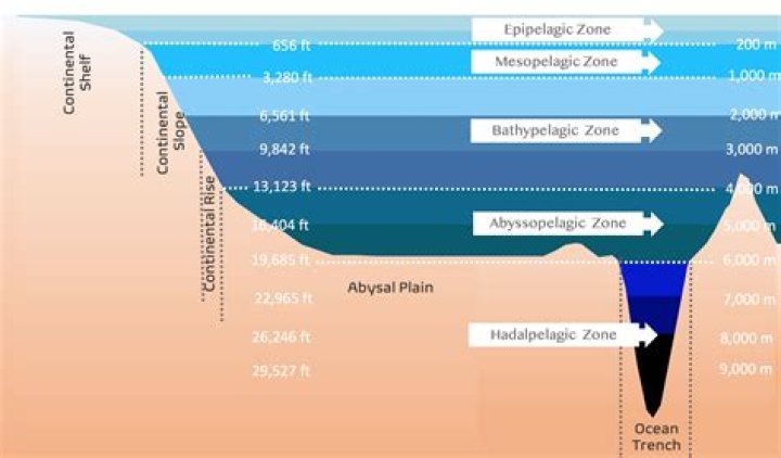 Understanding Broadcast: Part 1 - An In-Depth Exploration