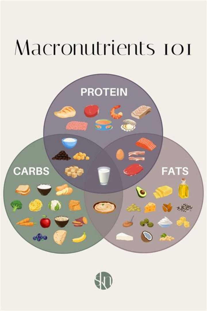 Understanding Macron High: The Ultimate Guide to Macronutrient Balance