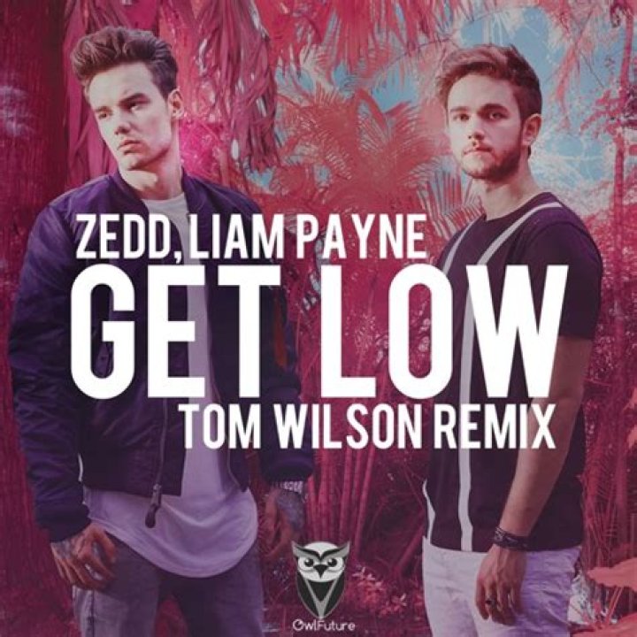 Unleashing the Beat: Get Low by Zedd and Liam Payne