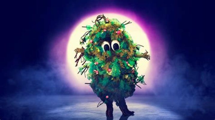 Unmasking the Love Bird: The Journey of the Masked Singer Phenomenon