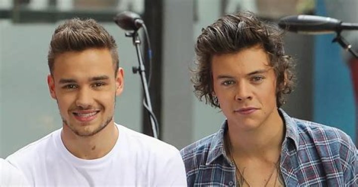 Unraveling the Dynamic Duo: The Harry Styles and Liam Payne Interview