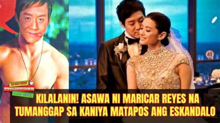 Unraveling the Hayden Kho and Maricar Reyes Sex Scandal: A Tale of Controversy and Redemption