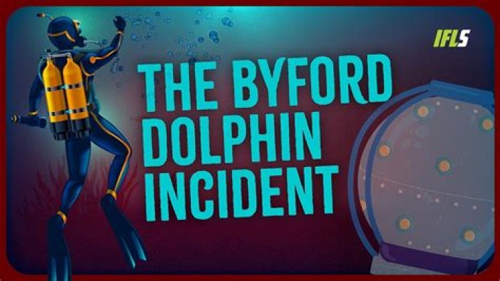 Unraveling the Mystery: The Bi 4 Dolphin Incident