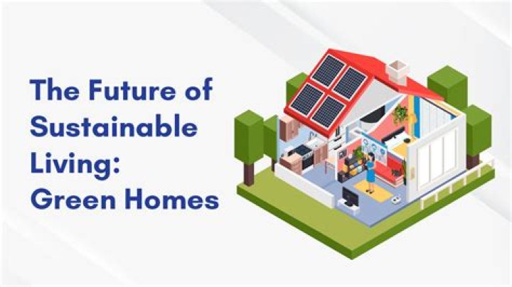 Unveiling Evooli: The Future of Sustainable Living