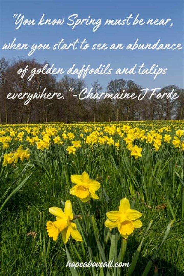 Unveiling the Beauty of Spring Twist: A Guide to Style and Care