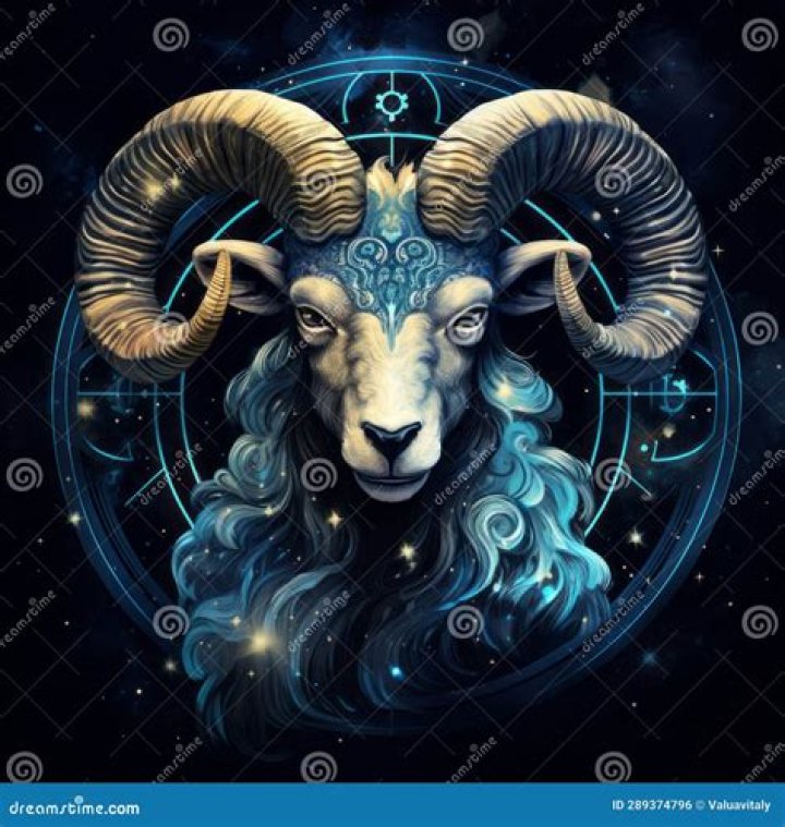 Unveiling the Dynamic Attributes of an Aries