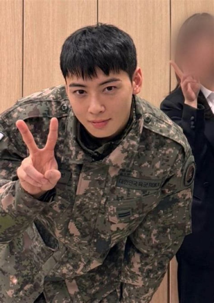 Unveiling the Journey of Cha Eun Woo: His Military Service and Beyond