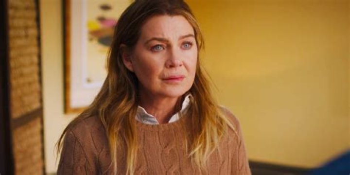 Unveiling the Mystery of Meredith Grey's Mouth Scar