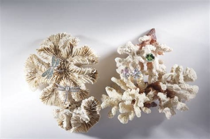 Unveiling the Mystery of the Heart of the Ocean