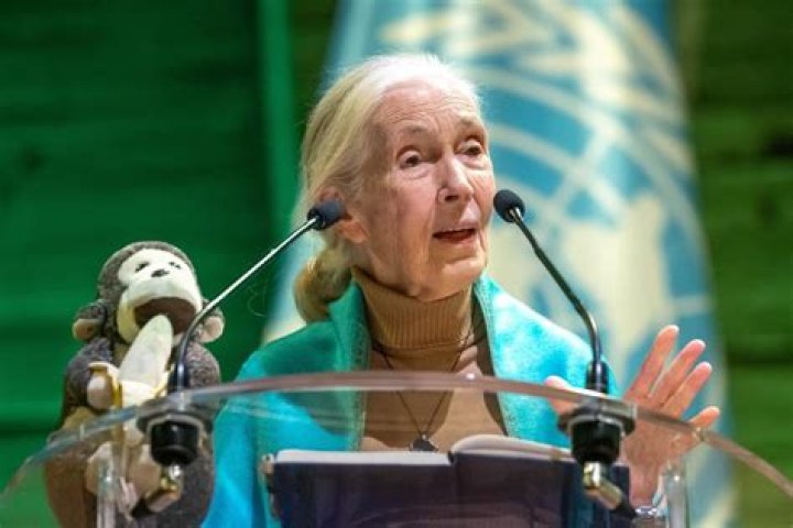 Unveiling the Mystique of Dr. Jane Ruby's Age