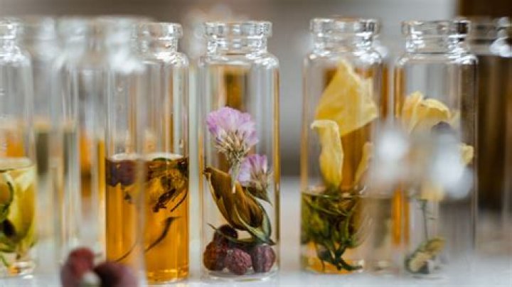 Unveiling the Secrets of Amber Hunt: A Journey Through Nature's Treasure