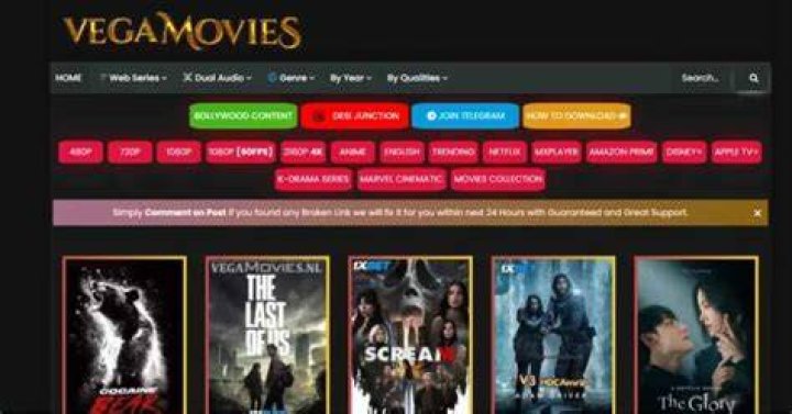 Unveiling the Truth About Vegamovies Adult: What You Need to Know